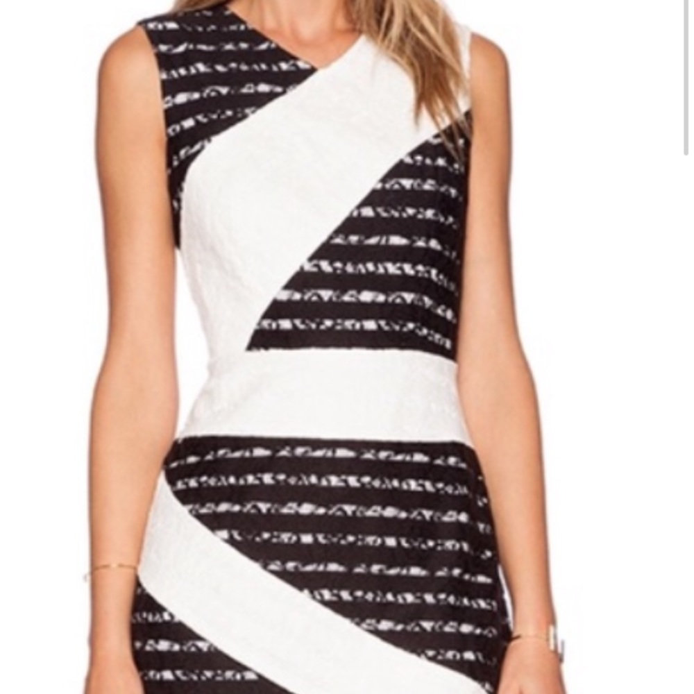 BCBG Maxazria Dalia Sleeveless Ribbon  Dress